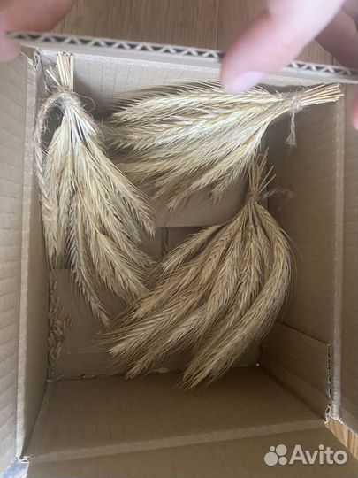 Набор для хомячка