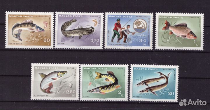 Венгрия, 1967. Речные рыбы
