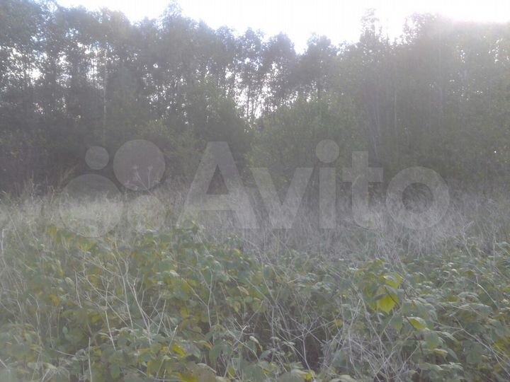 Участок 15 сот. (ИЖС)