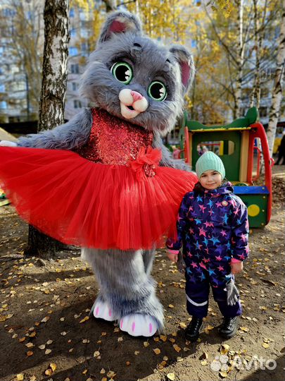 Экспресс поздравление