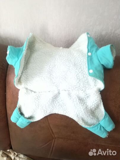 Одежда для собак мелких пород