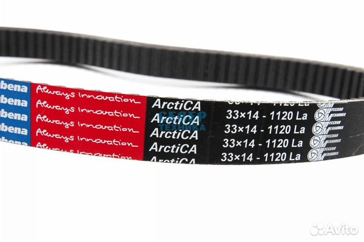 Ремень вариаторный на мотобуксировщик