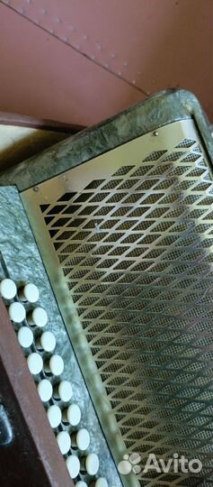 Гармонь весна