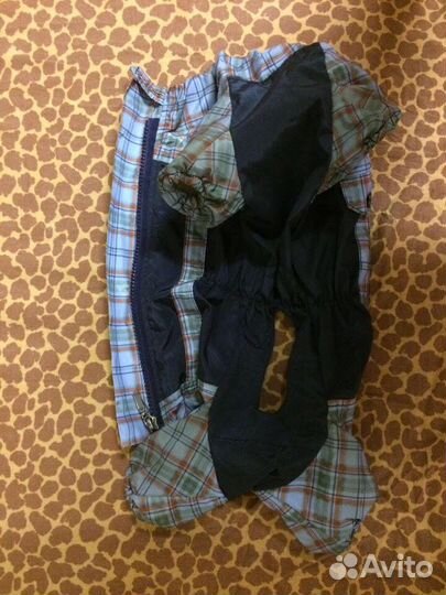 Одежда для собак