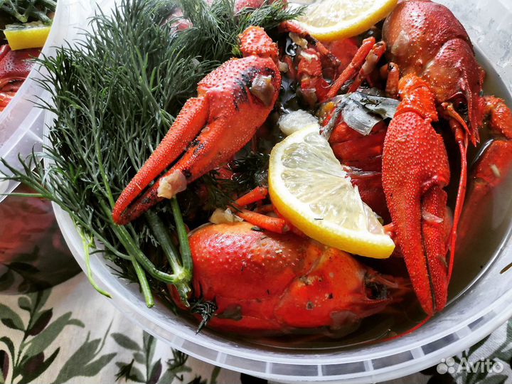 Раки живые и варёные волжские в розницу/оптом