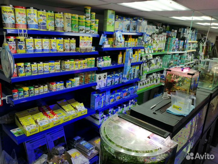 Аквариумная рыба оптом