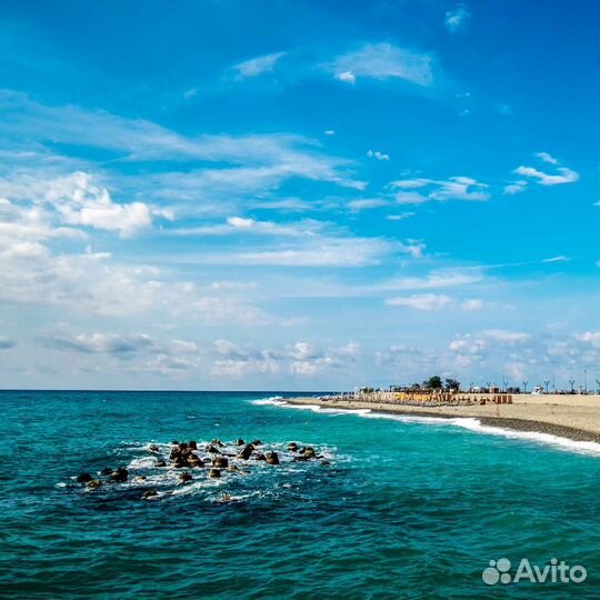 Автобусный тур в Сочи (Адлер) - (У)