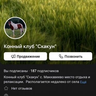 Конные прогулки, обучение