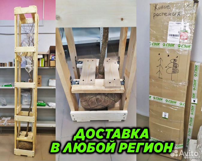 Посевной газон 10кг