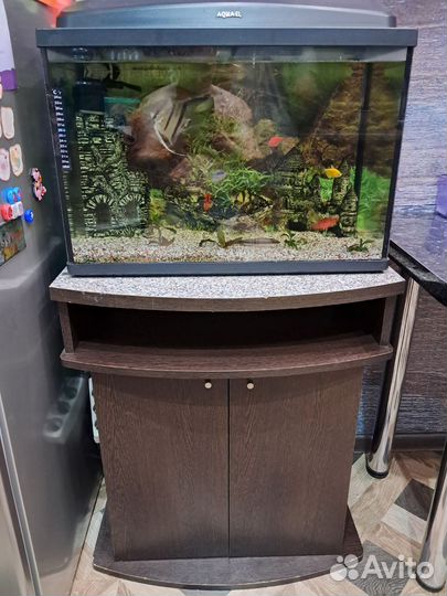 Аквариум с тумбой бу