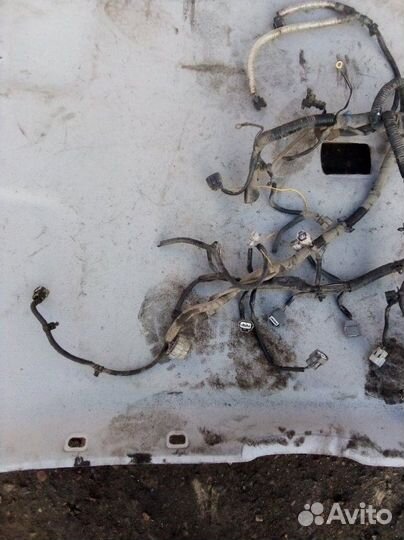 Проводка двигателя Nissan Qashqai MR20 2011