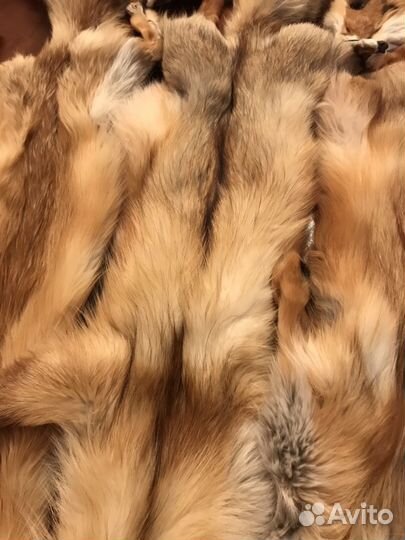 Шкуры лисы