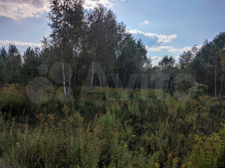 Участок 25,32 га (ИЖС)