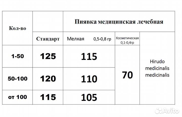 Пиявки медицинские