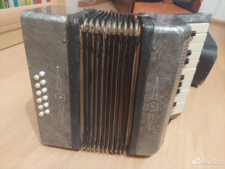Аккордеон детский