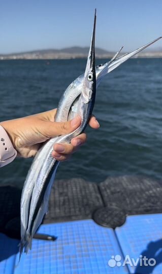 Морская рыбалка