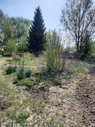 Участок 7 сот. (СНТ, ДНП)