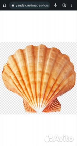 Ароматизатор пищевой Ракушка