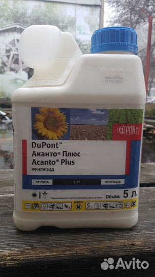 Аканто плюс