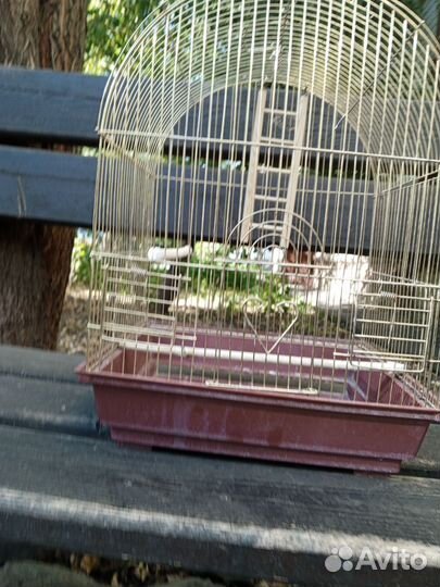 Клетка для попугая