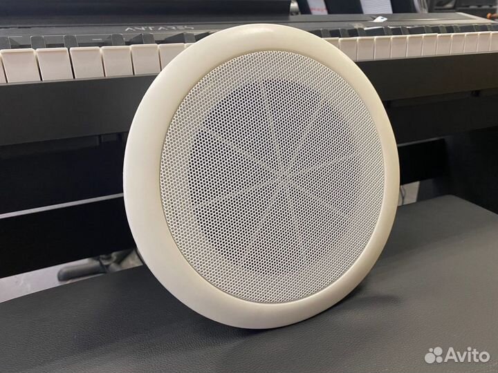 ZTX Audio KS-802A потолочный динамик