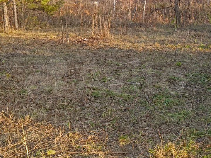 Участок 10 сот. (СНТ, ДНП)