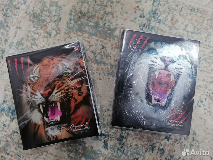 Рабочая тетрадь