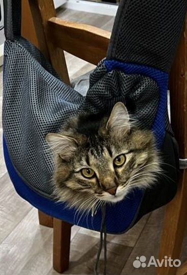 Сумка переноска д/животных (рюкзак и слинг)