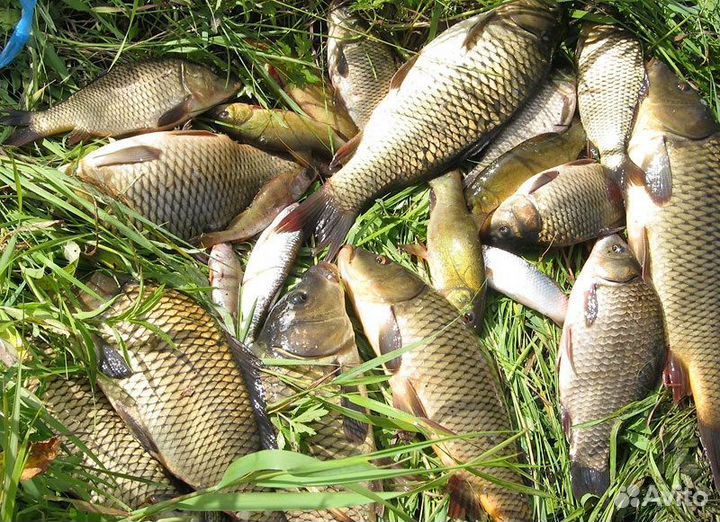 Отдых и рыбалка