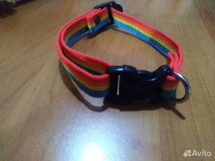 Ошейник для собак