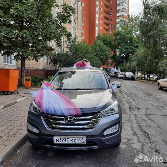 Поездки межгород, водитель