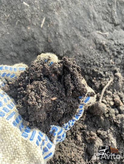 Чернозем, торф