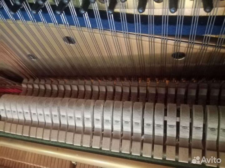 Пианино Bluthner