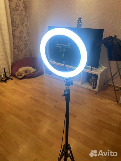 Свет для съемки, кольцевая лампа