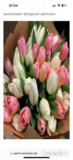 Тюльпаны к 8 марта