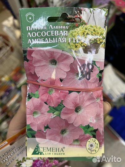 Семена петунии