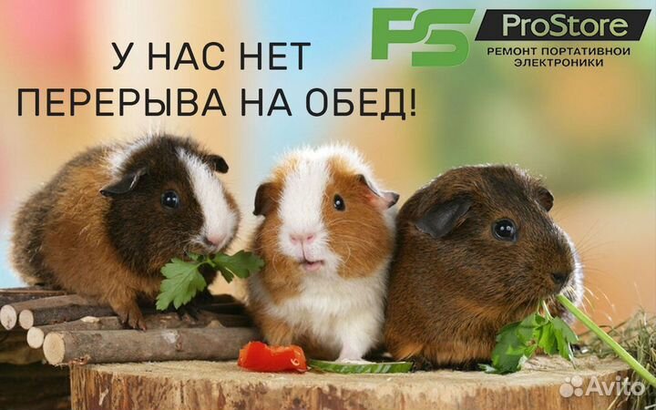 Правильная замена аккумуляторов на iPhone