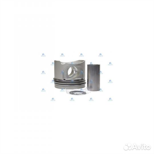 Поршень (комплект) 1019600