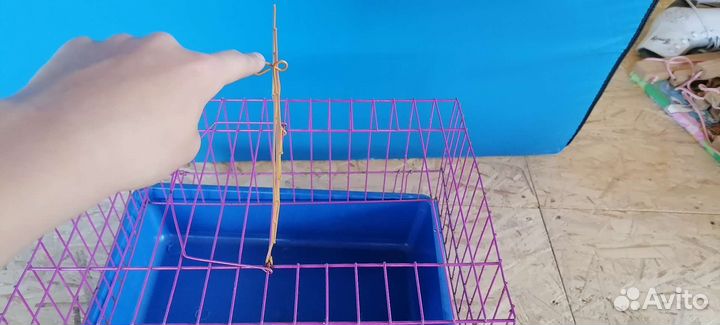 Клетка для кролика, морской свинки