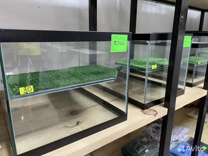 Аквариумы, рыбки