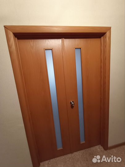 Дверь двойная