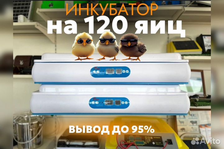 Инкубатор автоматический на 120 яиц в наличии