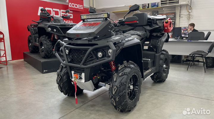Aodes pathcross MAX 650 XE PRO sport черный