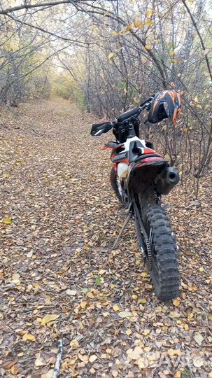 Sharmax expert pro 300 air