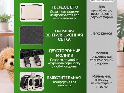 Сумка переноска для животных, Астана