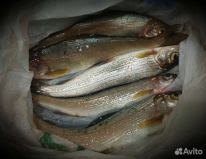 Грузовые мушки