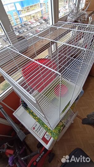 Клетка для грызунов, попугая