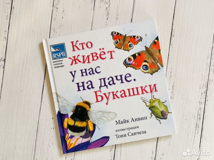 Кто живёт у нас на даче - Букашки