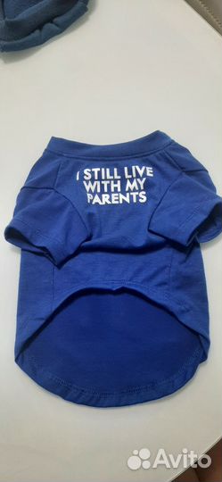 Одежда для собак