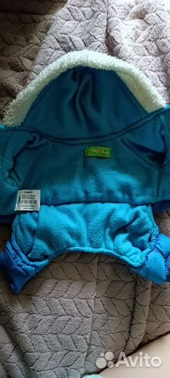 Вещи для собаки мелких пород